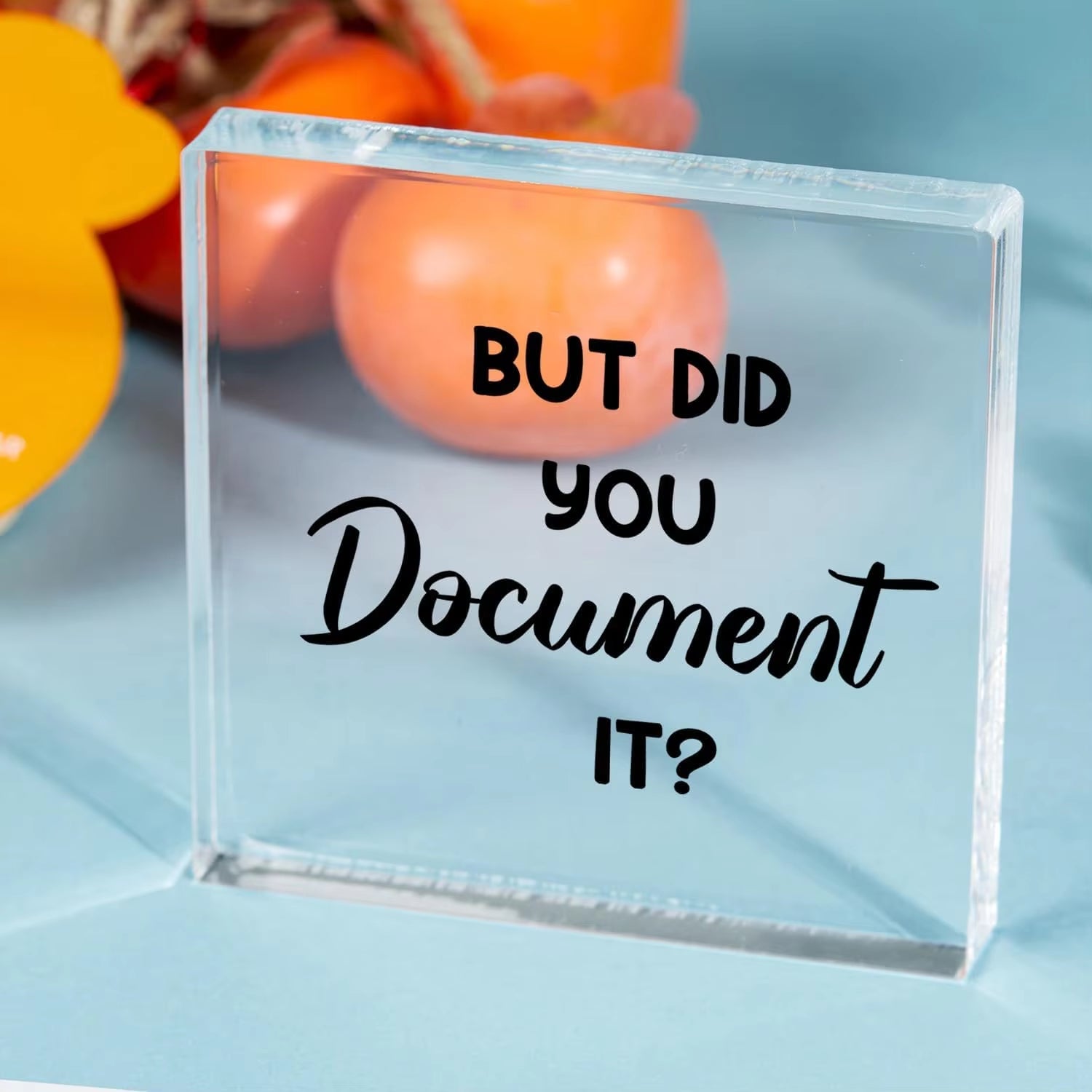 But Did You Document It Office Quotes Acrylic Square Shape Sign - Funny Office Ornaments